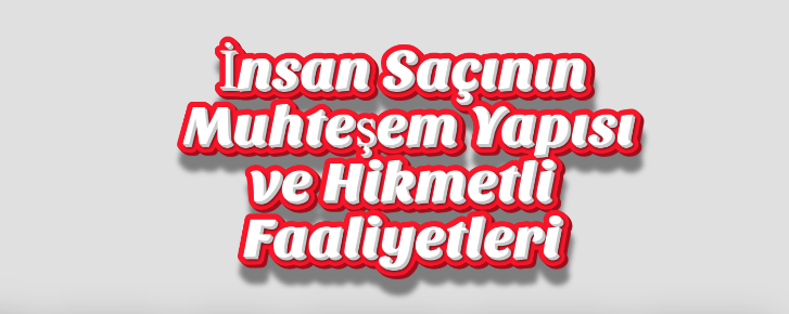 İnsan Saçının Muhteşem Yapısı ve Hikmetli Faaliyetleri