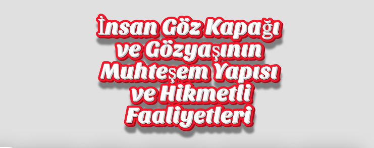 İnsan Göz Kapağı ve Gözyaşının Muhteşem Yapısı ve Hikmetli Faaliyetleri