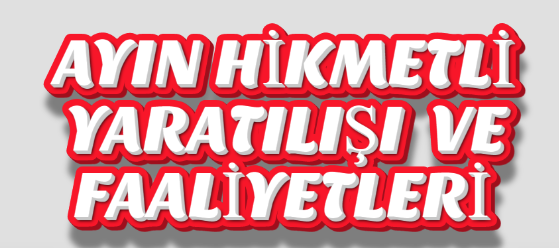 AY'IN HİKMETLİ YARATILIŞI VE KÂİNATTAKİ VAZİFELERİ