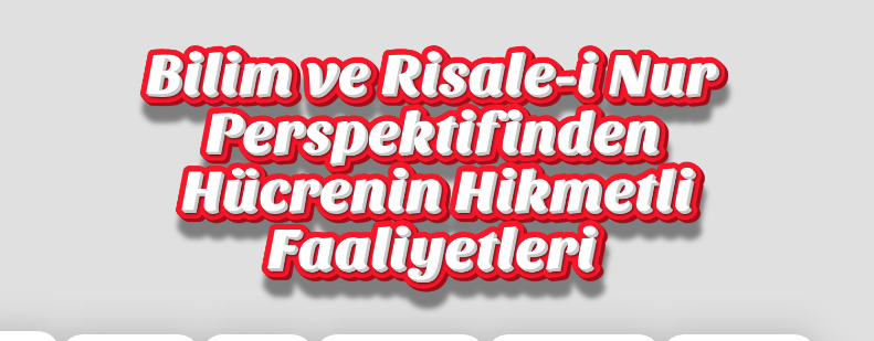 Bilim ve Risale-i Nur Perspektifinden Hücrenin Hikmetli Faaliyetleri