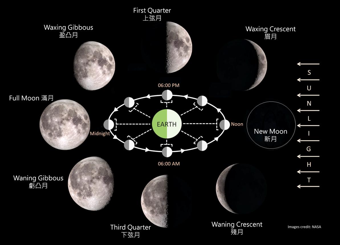 Moon Phases
