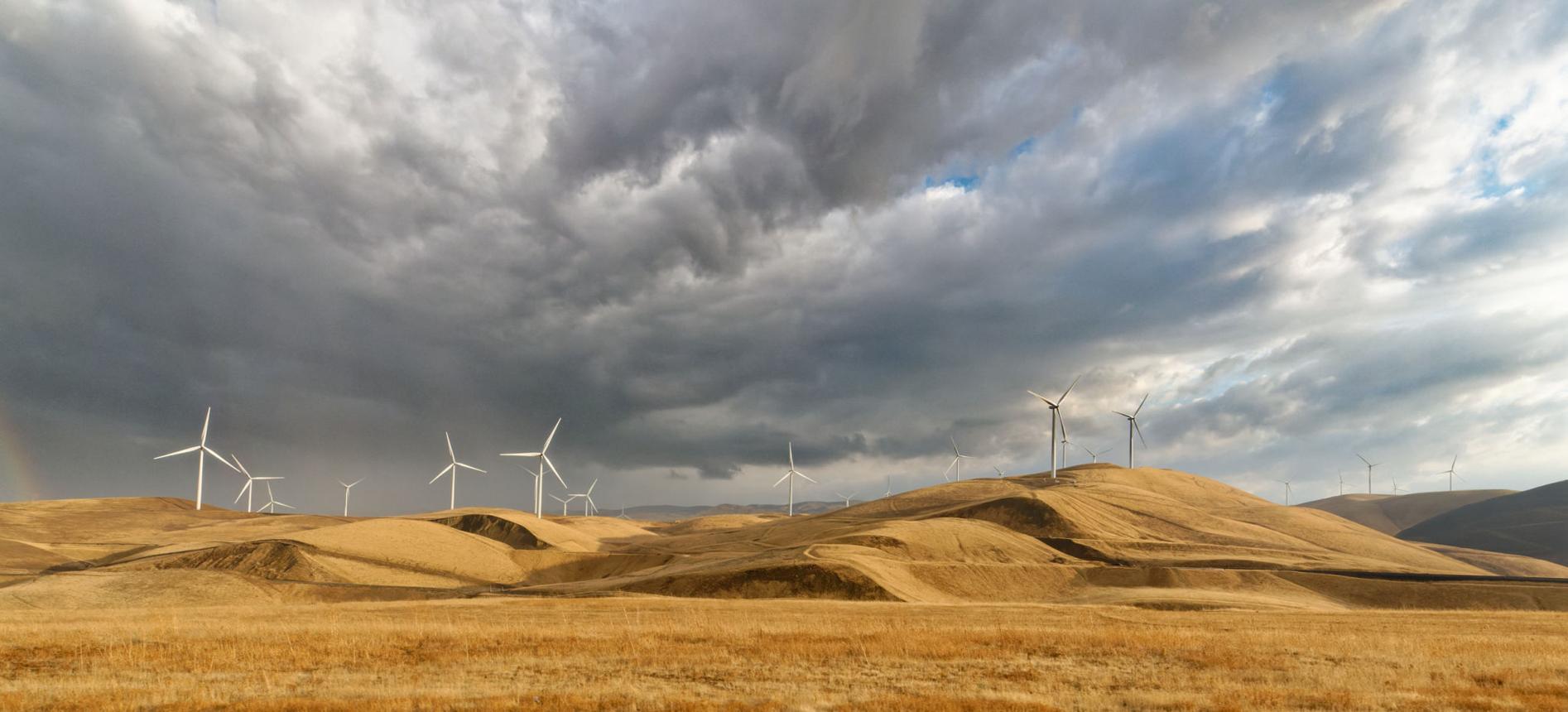 The Rolling Hills of Central California