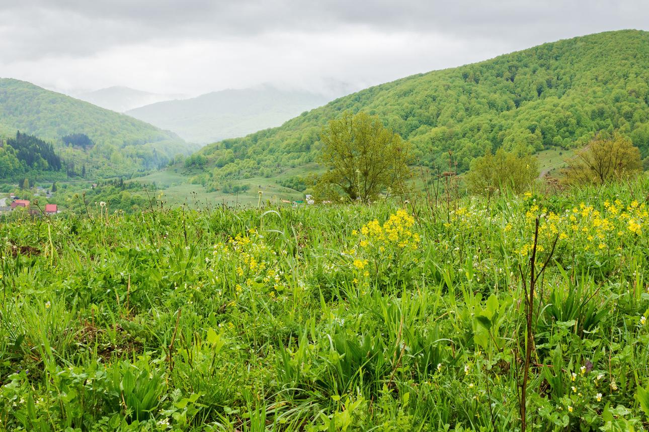 countryside mountain landscape in the rain